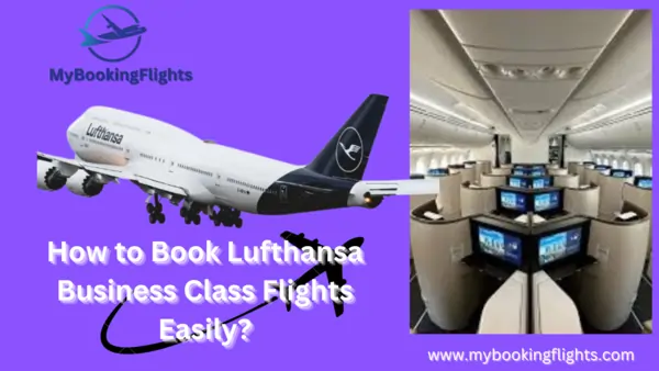 Lufthansa Business Class flights