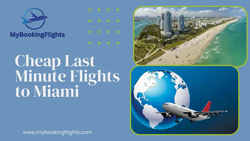 What Are the Best Ways to Find Cheap Last Minute Flights to Miami?